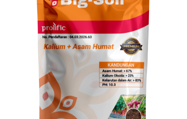 Big-Soil